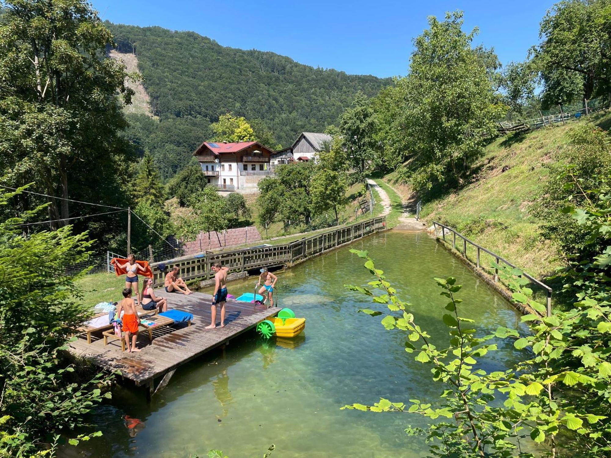 Buechlhof - App. Himmelalm Daire Lilienfeld Dış mekan fotoğraf